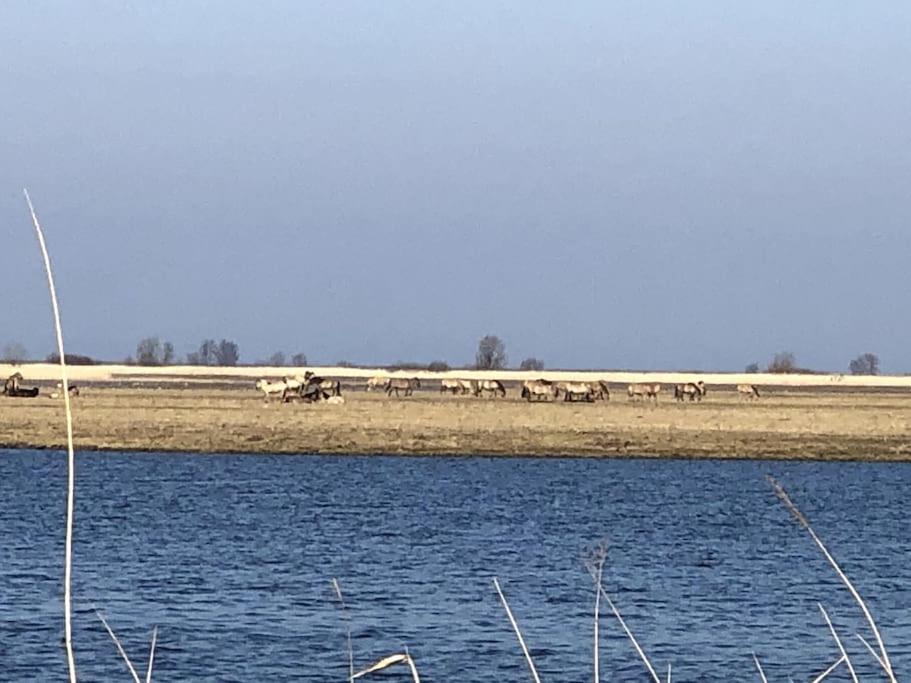 Prachtig Guesthouse Aan Het Water Almere Zewnętrze zdjęcie